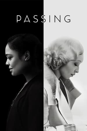 Passing 2021 Hindi Dual Audio 480p Web-DL 320MB - Movierulz
