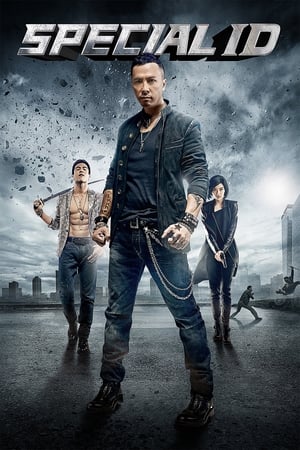 Special ID (2013) Hindi Dual Audio 480p BluRay 300MB ESubs - Movierulz